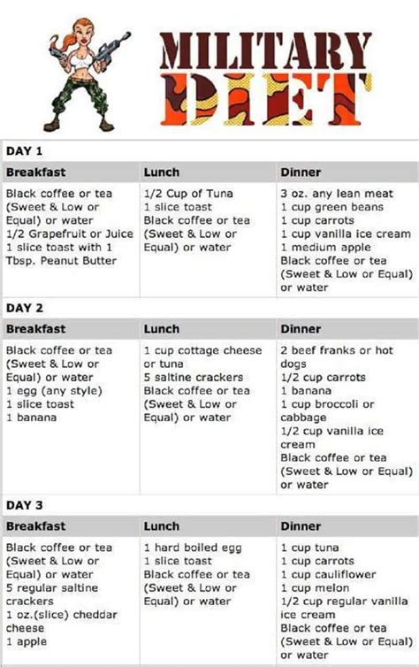 The Military Diet: A Guide to the 3.